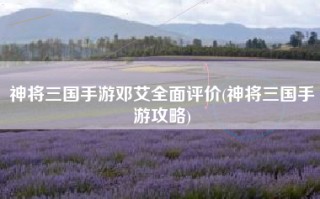 神将三国手游邓艾全面评价(神将三国手游攻略)