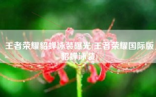 王者荣耀貂蝉泳装曝光(王者荣耀国际版貂蝉泳装)