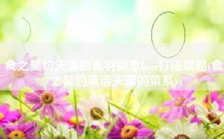 食之契约失落的雀羽副本boss打法攻略(食之契约菜谱失落的菜系)