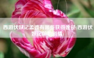 西游伏妖记孟婆有哪些获得途径(西游伏妖记前期剧情)