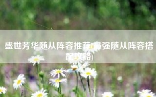 盛世芳华随从阵容推荐(最强随从阵容搭配攻略)