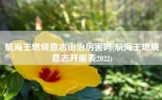 航海王燃烧意志山治厉害吗(航海王燃烧意志开服表2022)