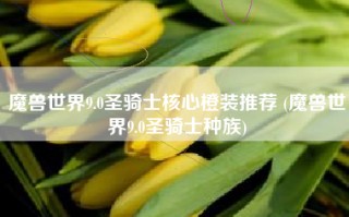 魔兽世界9.0圣骑士核心橙装推荐 (魔兽世界9.0圣骑士种族)