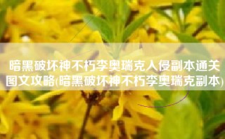 暗黑破坏神不朽李奥瑞克入侵副本通关图文攻略(暗黑破坏神不朽李奥瑞克副本)