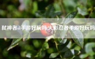弑神者ol手游好玩吗,火影忍者手游好玩吗