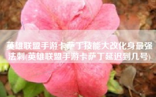 英雄联盟手游卡萨丁技能大改化身最强法刺(英雄联盟手游卡萨丁延迟到几号)