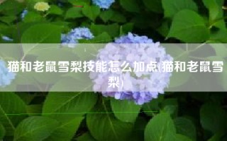 猫和老鼠雪梨技能怎么加点(猫和老鼠雪梨)