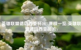 英雄联盟德玛西亚杯2021赛程一览(英雄联盟德玛西亚图片)