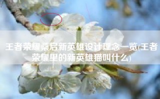 王者荣耀桑启新英雄设计理念一览(王者荣耀里的新英雄猫叫什么)