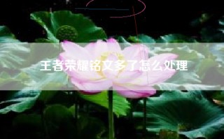 王者荣耀铭文多了怎么处理