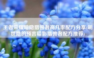 王者荣耀暗隐猎兽者高几率配方分享(明世隐的预言暗影猎兽者配方推荐)