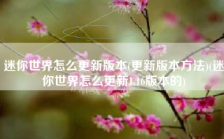 迷你世界怎么更新版本(更新版本方法)(迷你世界怎么更新1.16版本的)