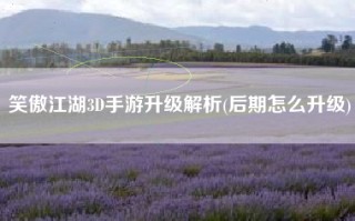 笑傲江湖3D手游升级解析(后期怎么升级)