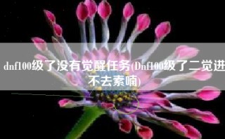 dnf100级了没有觉醒任务(Dnf100级了二觉进不去素喃)