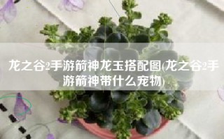 龙之谷2手游箭神龙玉搭配图(龙之谷2手游箭神带什么宠物)