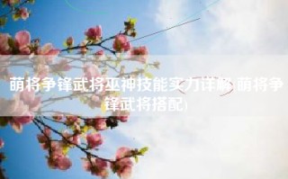 萌将争锋武将巫神技能实力详解(萌将争锋武将搭配)