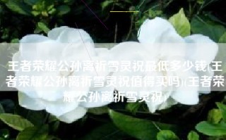 王者荣耀公孙离祈雪灵祝最低多少钱(王者荣耀公孙离祈雪灵祝值得买吗)(王者荣耀公孙离祈雪灵祝)