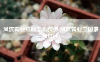 风流霸业红颜怎么获得(风流霸业三国最强红颜)