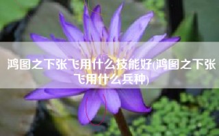 鸿图之下张飞用什么技能好(鸿图之下张飞用什么兵种)