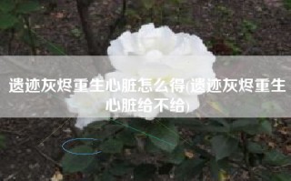 遗迹灰烬重生心脏怎么得(遗迹灰烬重生心脏给不给)