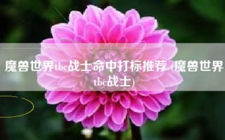 魔兽世界tbc战士命中打标推荐 (魔兽世界tbc战士)
