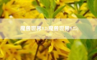 魔兽世界9.2(魔兽世界9.25)