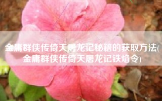 金庸群侠传倚天屠龙记秘籍的获取方法(金庸群侠传倚天屠龙记铁焰令)
