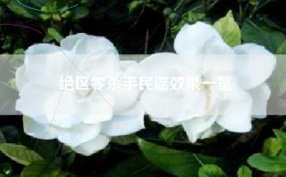 绝区零杀手民谣效果一览