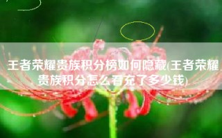 王者荣耀贵族积分榜如何隐藏(王者荣耀贵族积分怎么看充了多少钱)