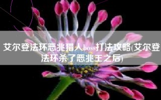 艾尔登法环恶兆猎人boss打法攻略(艾尔登法环杀了恶兆王之后)
