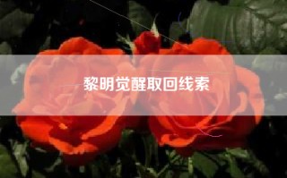 黎明觉醒取回线索