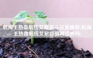 航海王热血航线艾斯激斗技能推荐(航海王热血航线艾尼路值得培养吗)