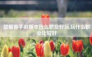 楚留香手游版本什么职业好玩,玩什么职业比较好