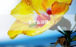 v(vt是什么词性)_1