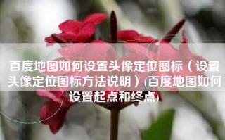百度地图如何设置头像定位图标（设置头像定位图标方法说明）(百度地图如何设置起点和终点)