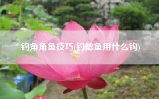 钓角角鱼技巧(钓鲶鱼用什么钩)