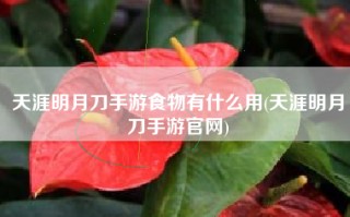 天涯明月刀手游食物有什么用(天涯明月刀手游官网)