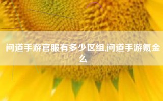 问道手游官服有多少区组,问道手游氪金么