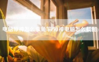 电脑原神怎么拿鱼竿(原神电脑怎么截图)