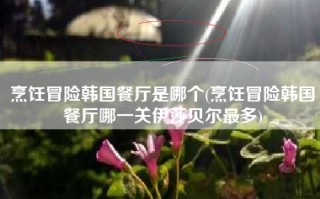 烹饪冒险韩国餐厅是哪个(烹饪冒险韩国餐厅哪一关伊莎贝尔最多)