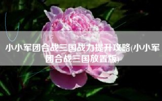 小小军团合战三国战力提升攻略(小小军团合战三国放置版)