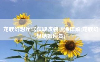 龙族幻想座驾获取改装喷涂详解(龙族幻想结婚座驾)