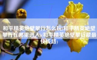 和平精英绝壁攀行怎么玩(和平精英绝壁攀行在哪里进入)(和平精英绝壁攀行藏最快线路)