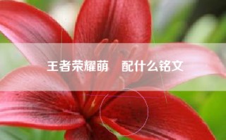王者荣耀萌犽配什么铭文