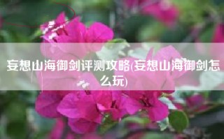 妄想山海御剑评测攻略(妄想山海御剑怎么玩)