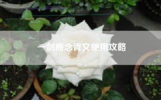 一剑断念胥文使用攻略