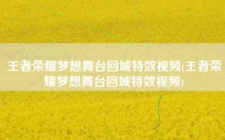 王者荣耀梦想舞台回城特效视频(王者荣耀梦想舞台回城特效视频)