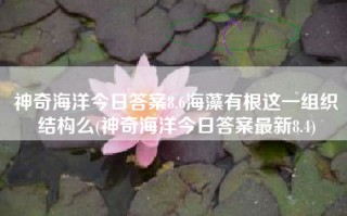 神奇海洋今日答案8.6海藻有根这一组织结构么(神奇海洋今日答案最新8.4)