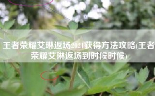 王者荣耀艾琳返场2021获得方法攻略(王者荣耀艾琳返场到时候时候)