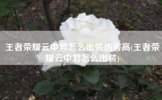 王者荣耀云中君怎么出装伤害高(王者荣耀云中君怎么出装)